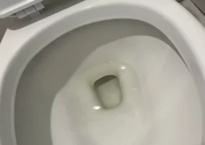 Dependable House Cleaning