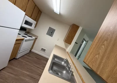 Professional Cleaning Service